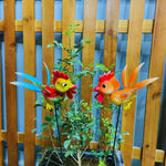 Hen Garden Stakes (Pack of 2) - The Decorshed
